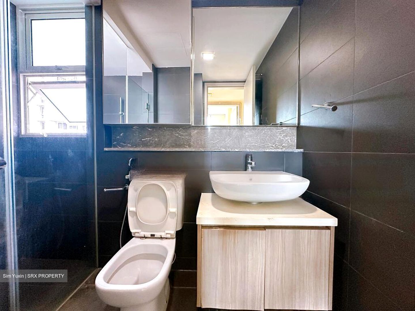 Optima @ Tanah Merah (D16), Condominium #476504031